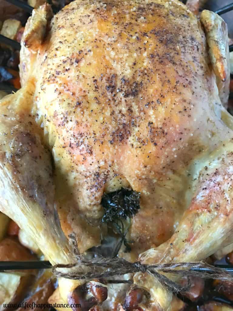 A whole roasted chicken with crisp skin in a roasting pan. 