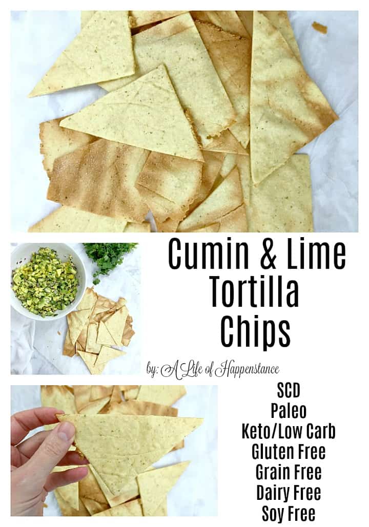 Paleo tortilla chips are an easy homemade snack that's made with almond flour and flavored with cumin, lime zest, and fresh lime juice! The recipe is SCD, Paleo, low carb, gluten free, grain free, dairy free, and soy free. 