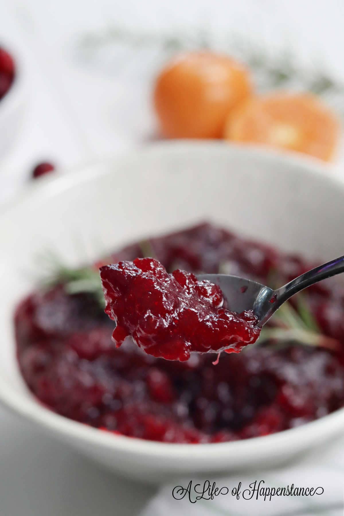 A spoonful of cranberry sauce with the bowl of sauce in the background.