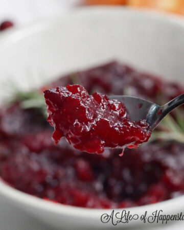 A spoonful of naturally sweetened cranberry sauce.