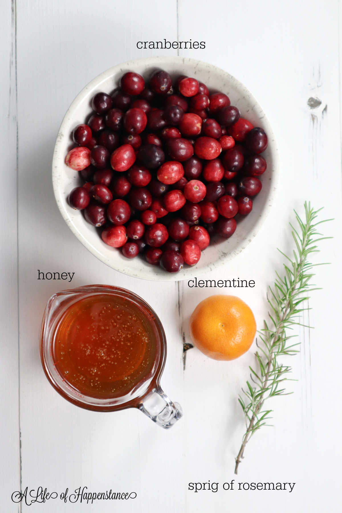 The ingredients for the sauce on a white table ;cranberries, honey, clementine, sprig of rosemary.